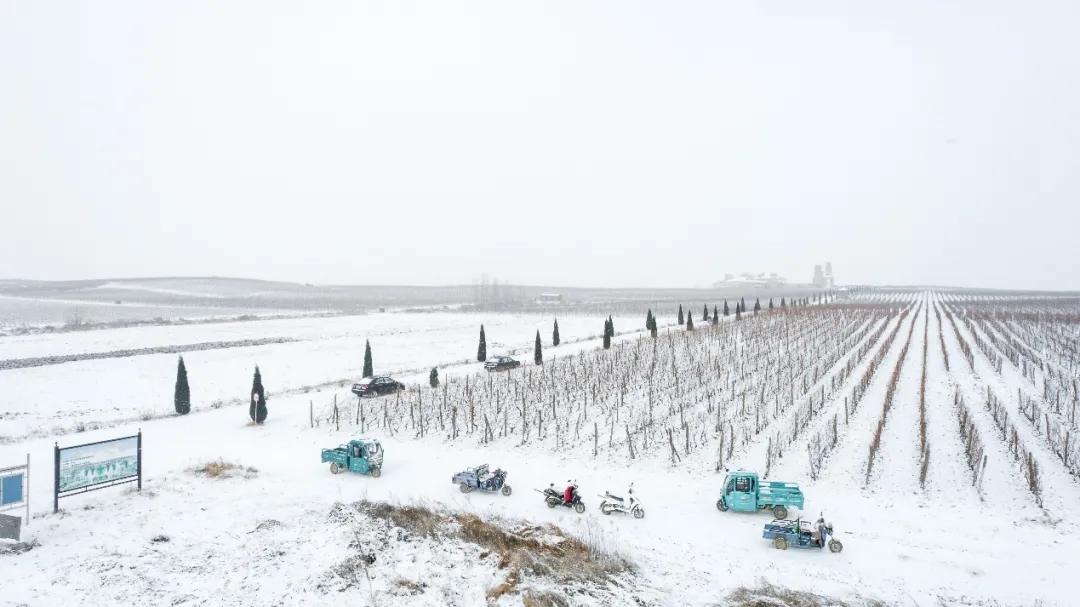 九頂莊園 | 雪，是自然送給大地的情書